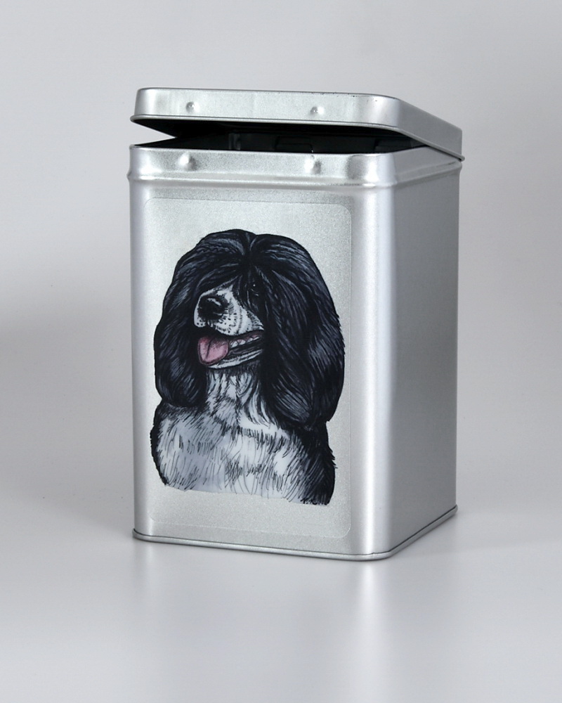 Portugalský vodní pes - adventní kalendář pro psy