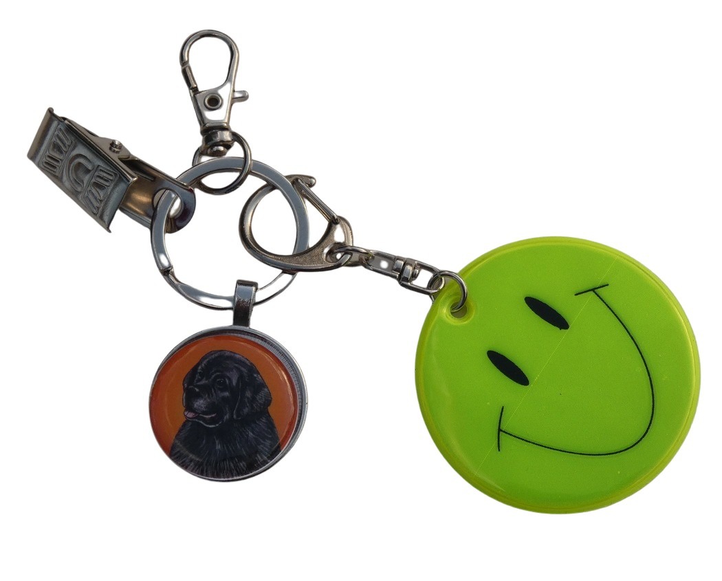 Novofundlandský pes - bižuterní a reflexní přívěsek 