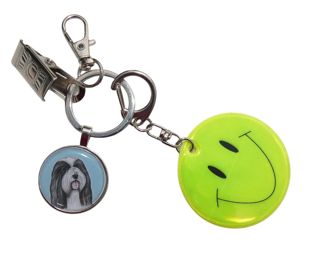 Bearded kolie - bižuterní a reflexní přívěsek