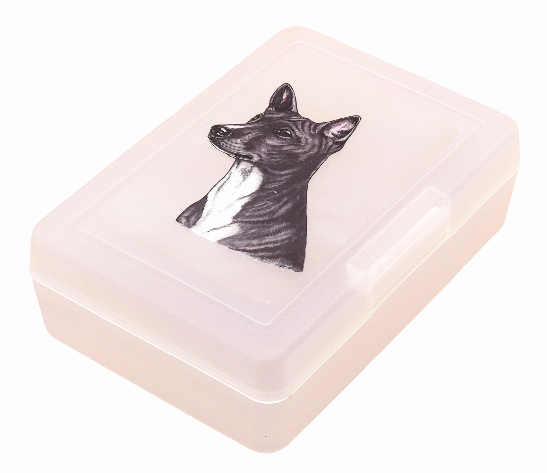 Basenji černý - plastový box