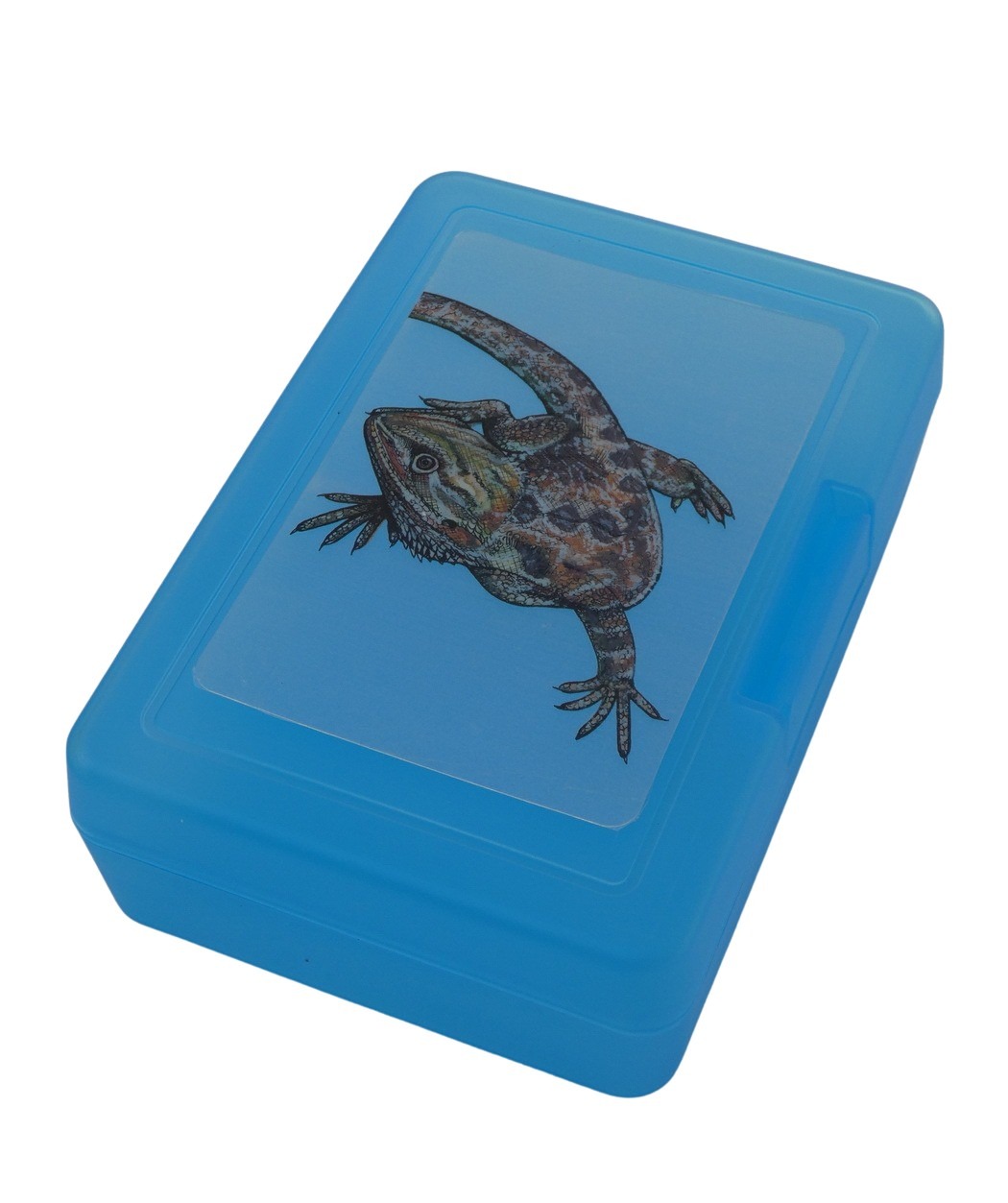 Plastový box - agama
