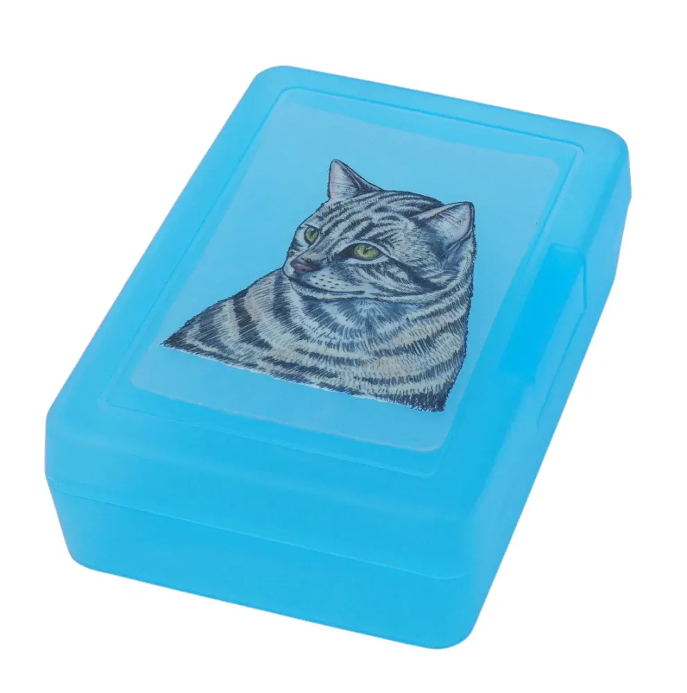 Plastový box - mourovatá kočka