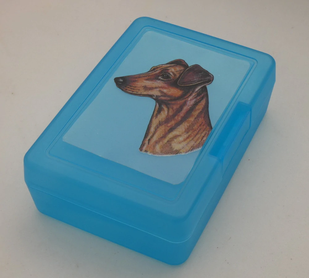 Německý pinč - plastový box