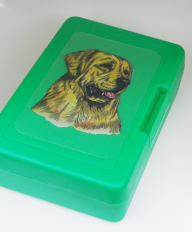 Zlatý retriever - plastový box