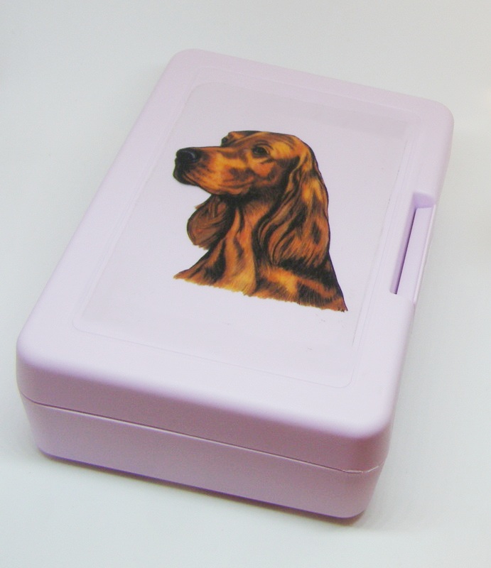 Irský setr - plastový box