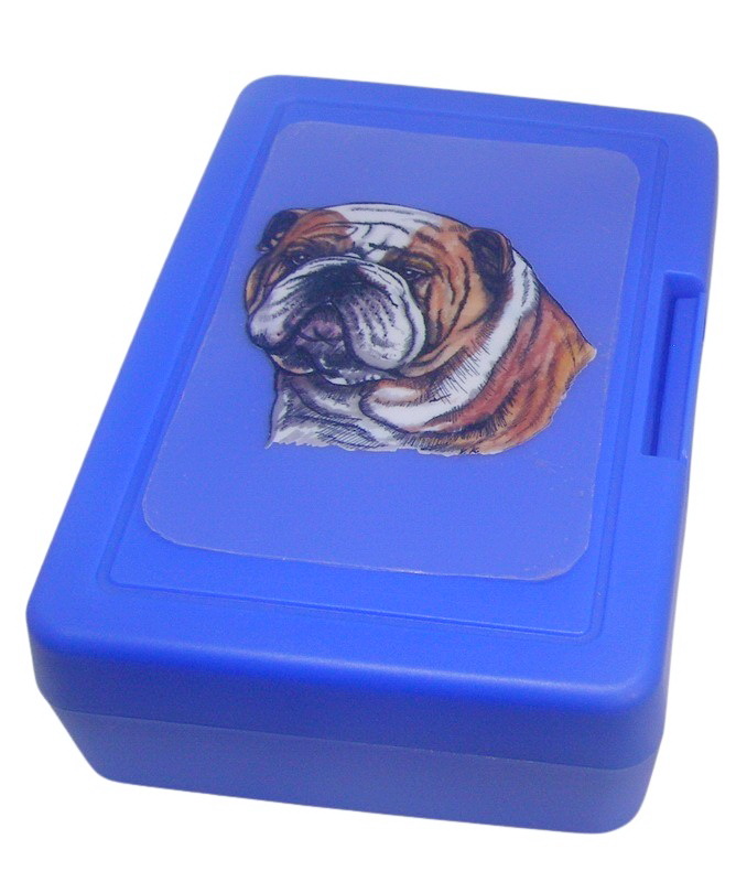 Buldok - plastový box
