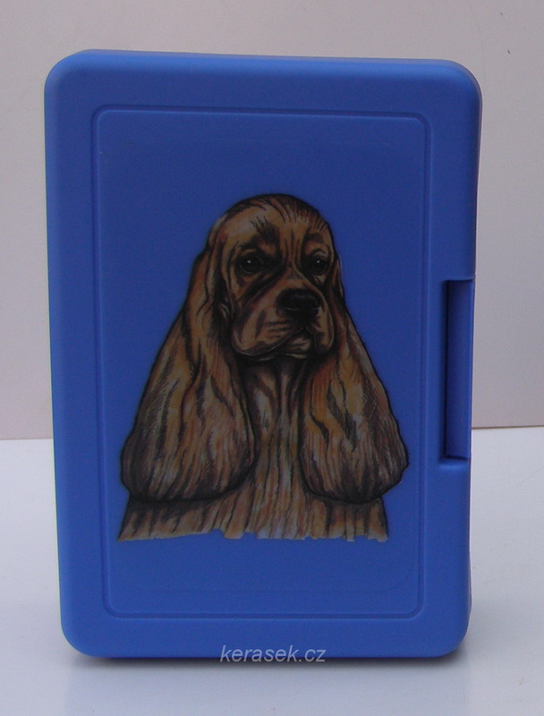 Americký kokr - plastový box