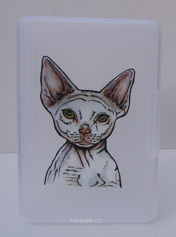 Plastový box - kočka devon rex