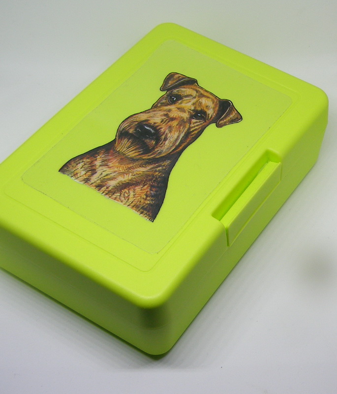 Erdelteriér - plastový box