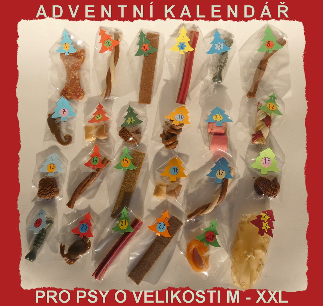 Husky - adventní kalendář pro psy