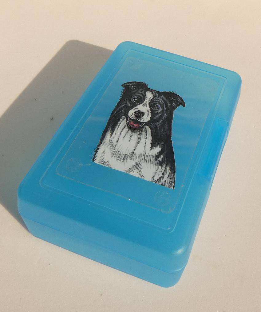 Border kolie - plastový box
