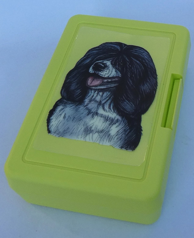 Portugalský vodní pes - plastový box