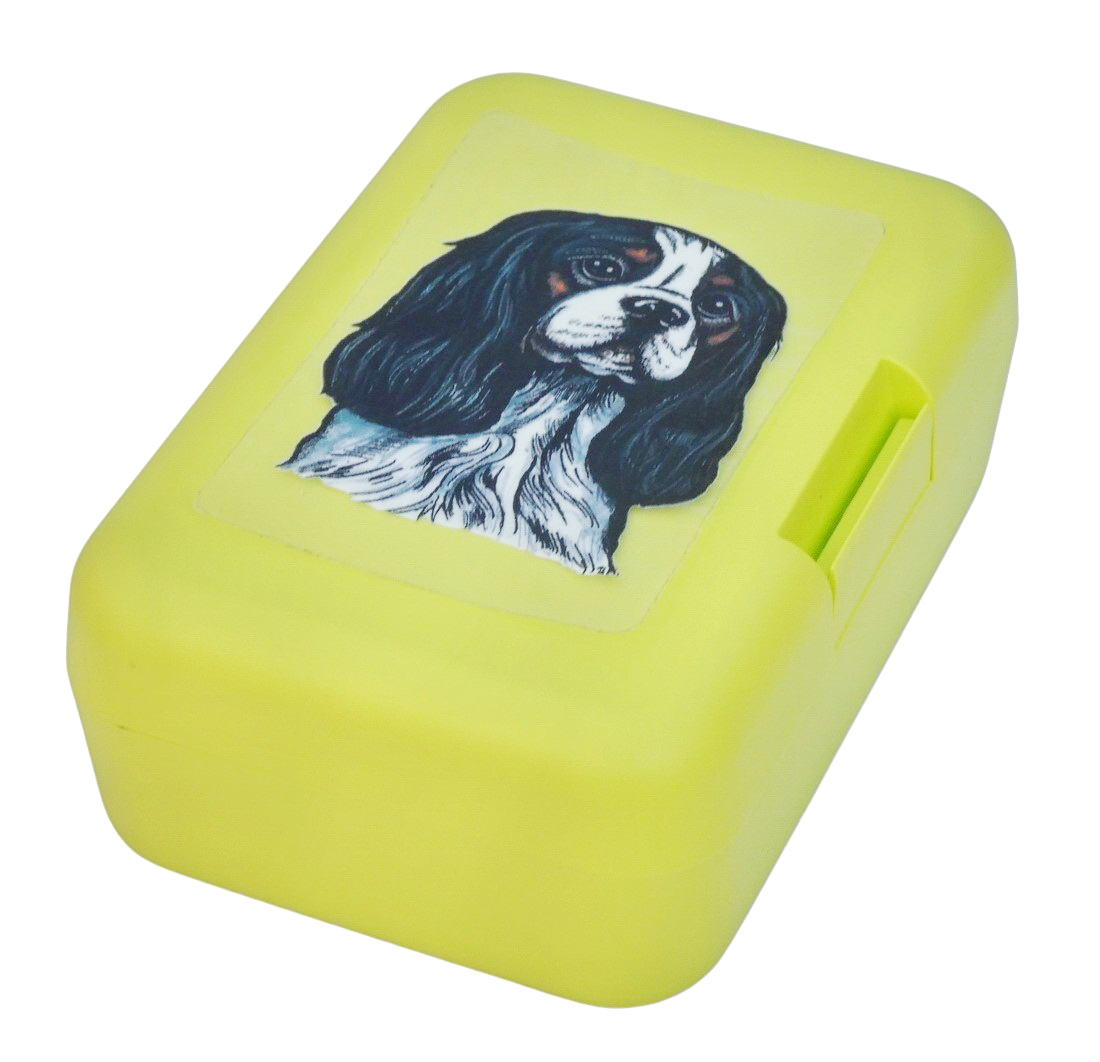 Kavalír tricolor - plastový box