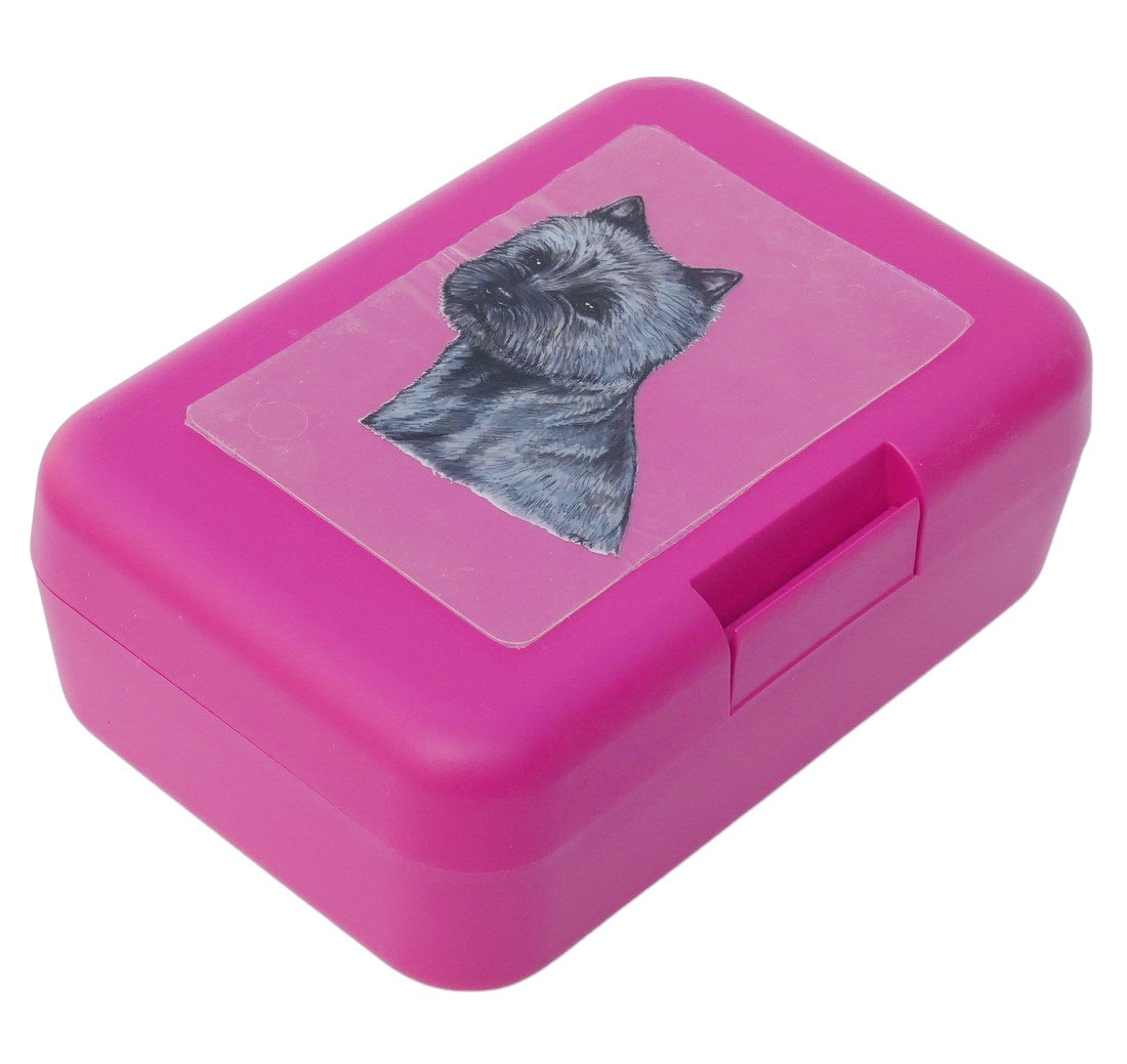 Kernteriér žíhaný - plastový box