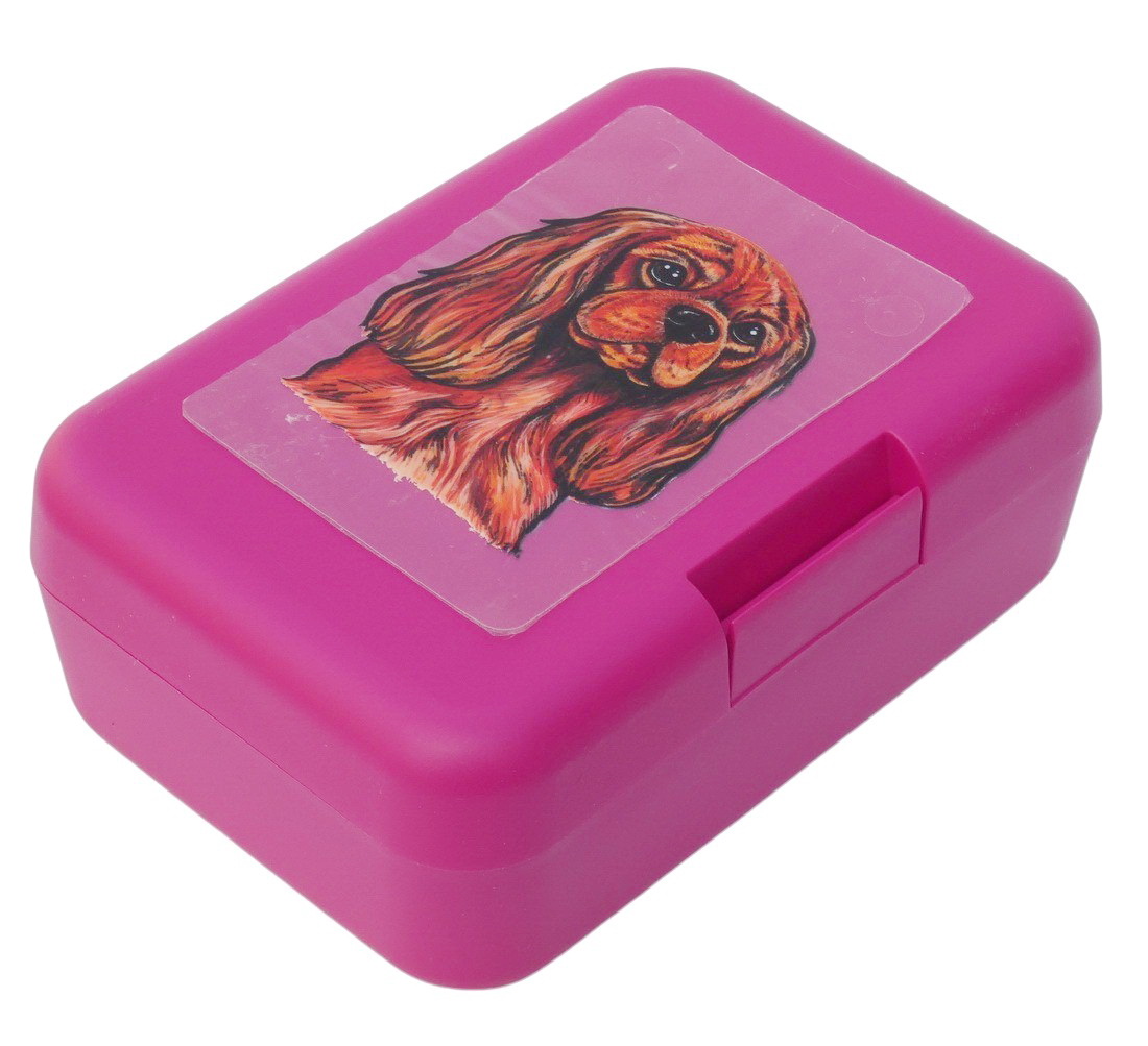 Kavalír ruby - plastový box