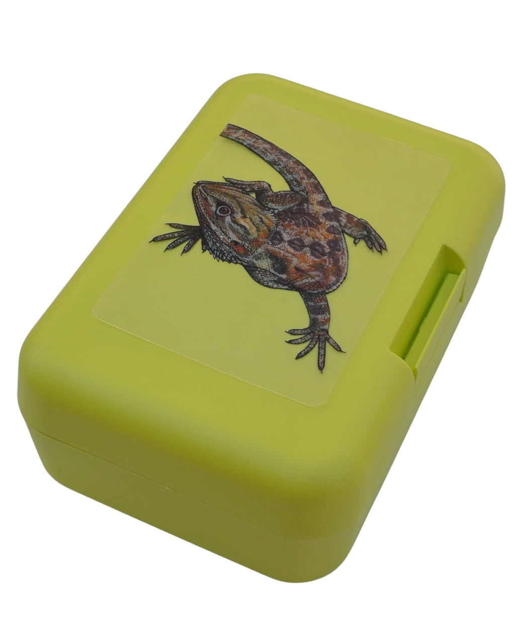 Plastový box - agama