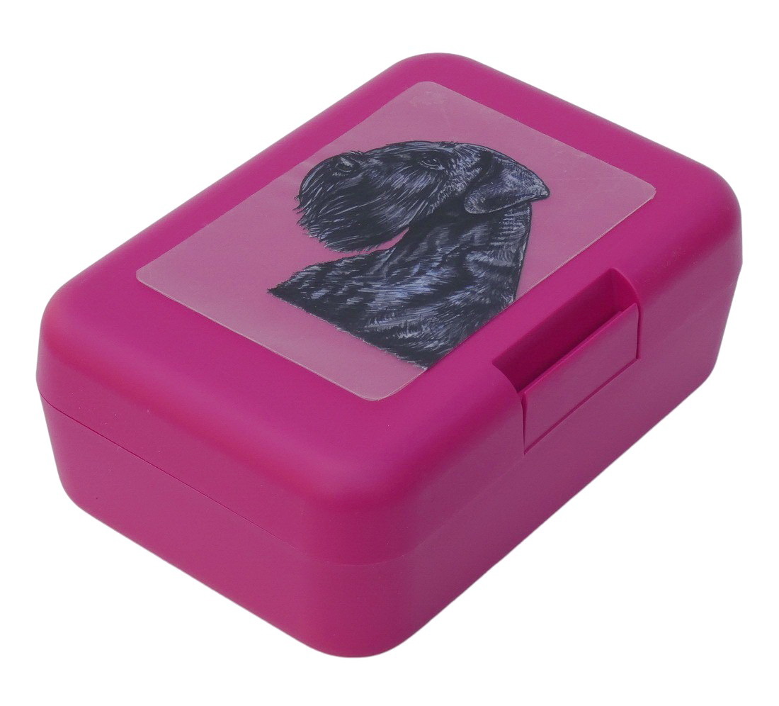 Knírač velký - plastový box