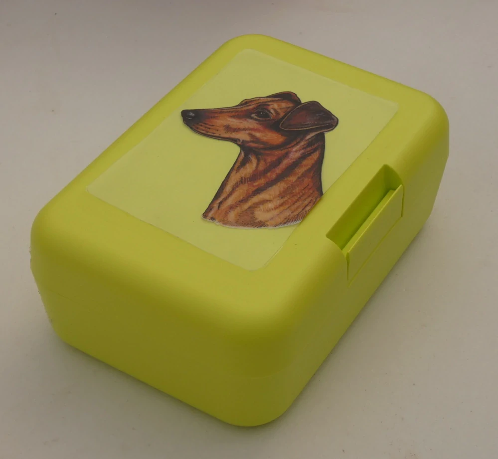 Německý pinč - plastový box