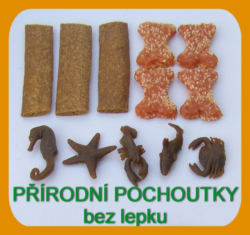 Cotonek - plechová dóza s pamlsky pro psy