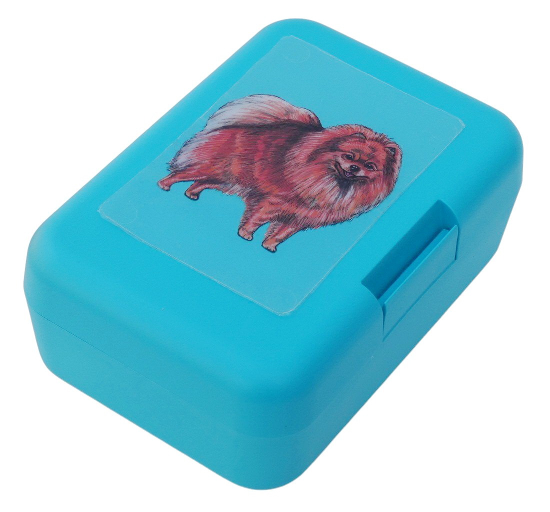 Špic oranžový - plastový box