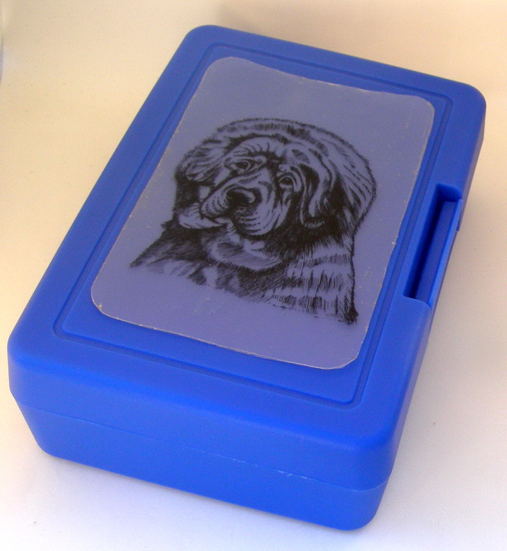 Tibetská doga - plastový box