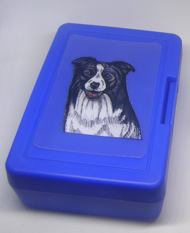 Border kolie - plastový box