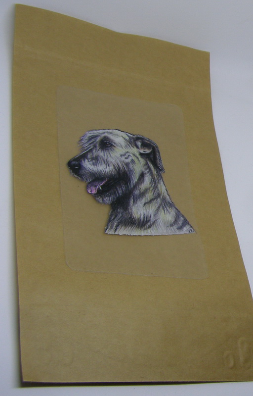 Zipový sáček - irský vlkodav