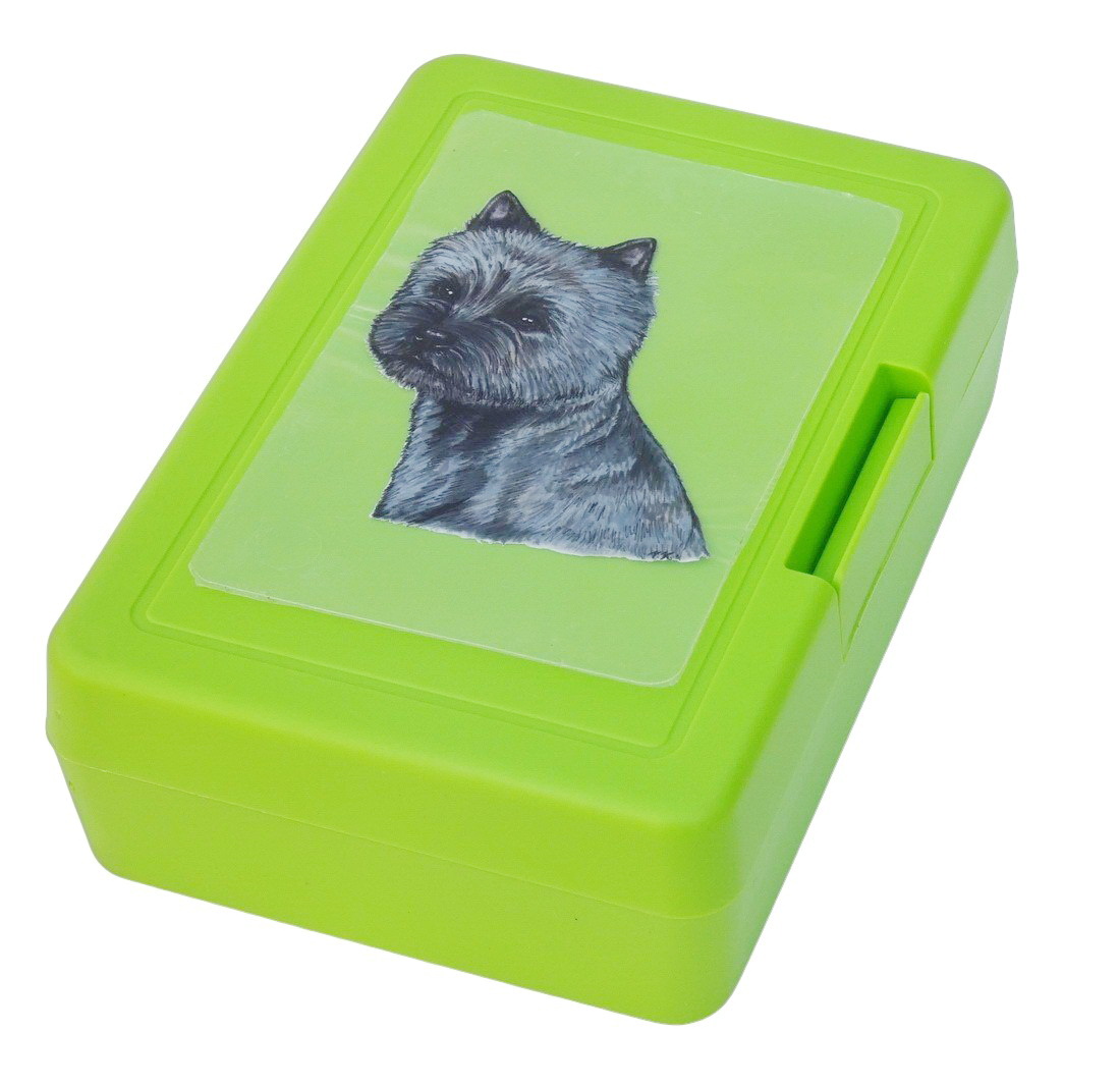 Kernteriér žíhaný - plastový box