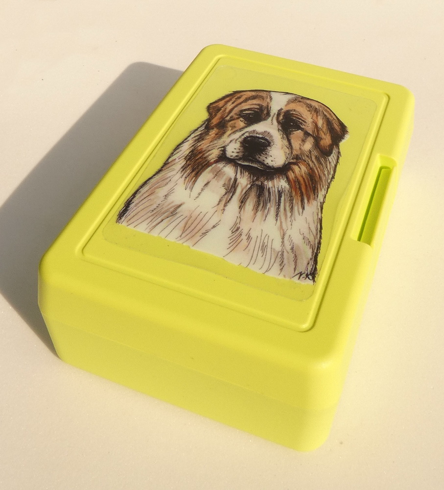 Pyrenejský horský pes - plastový box