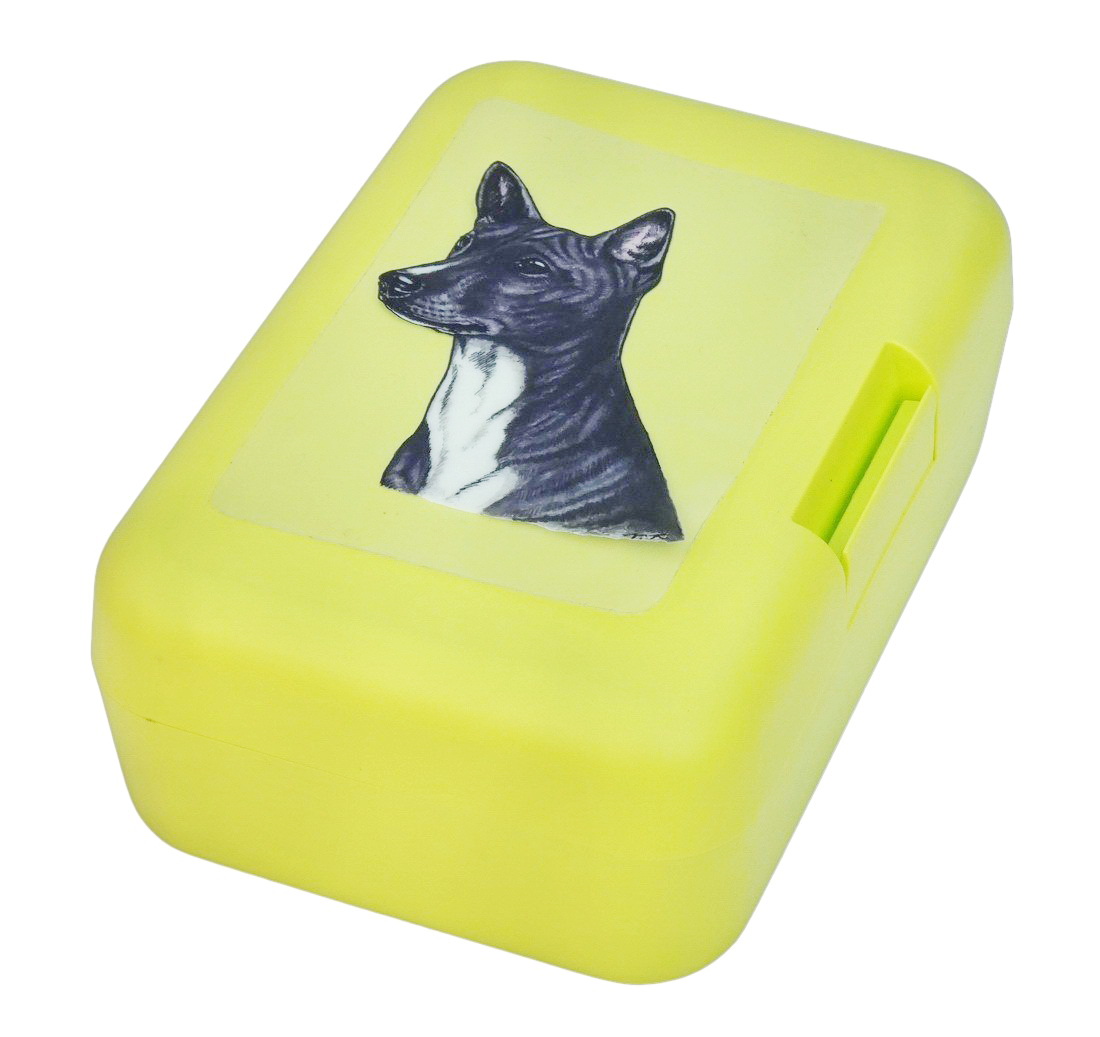Basenji černý - plastový box
