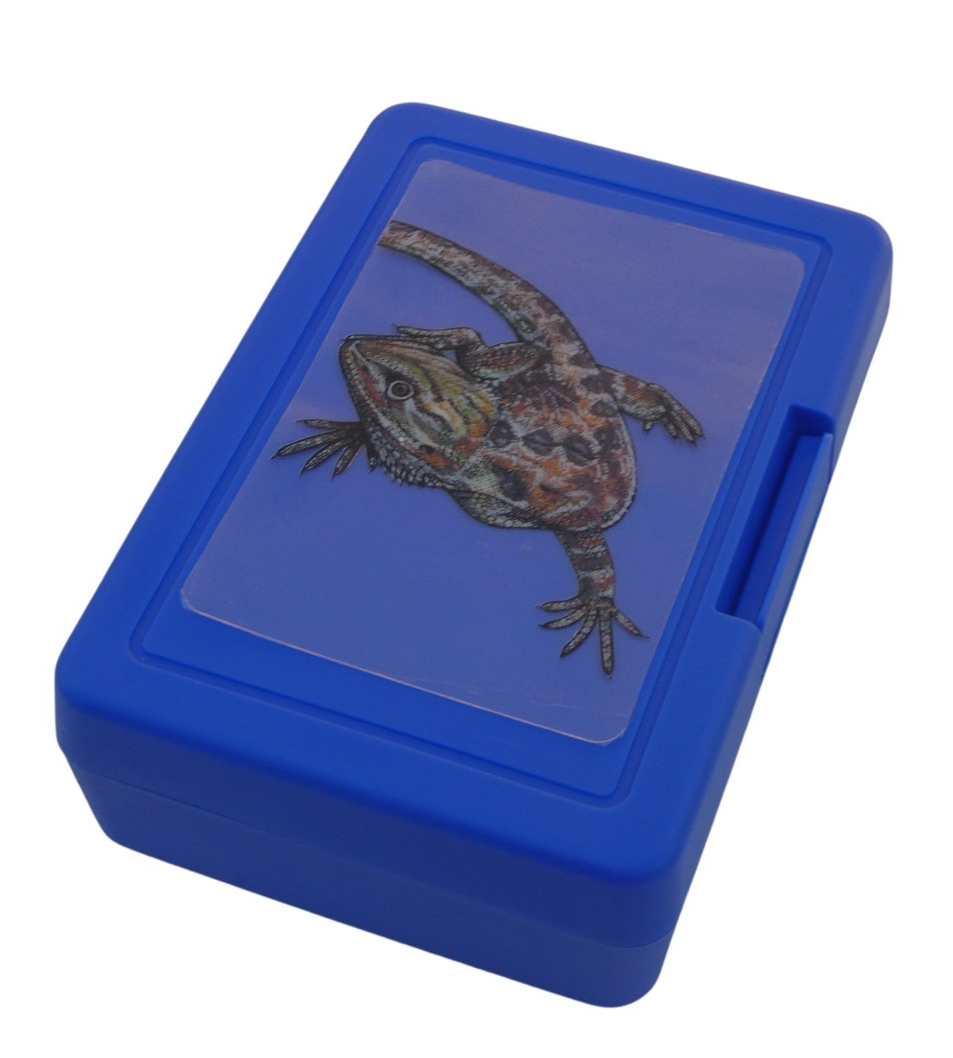 Plastový box - agama