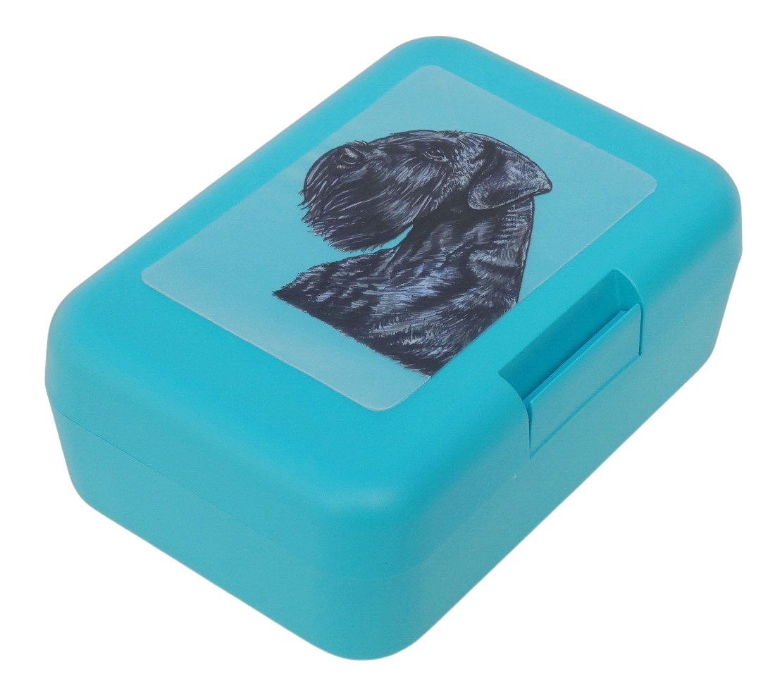 Knírač velký - plastový box