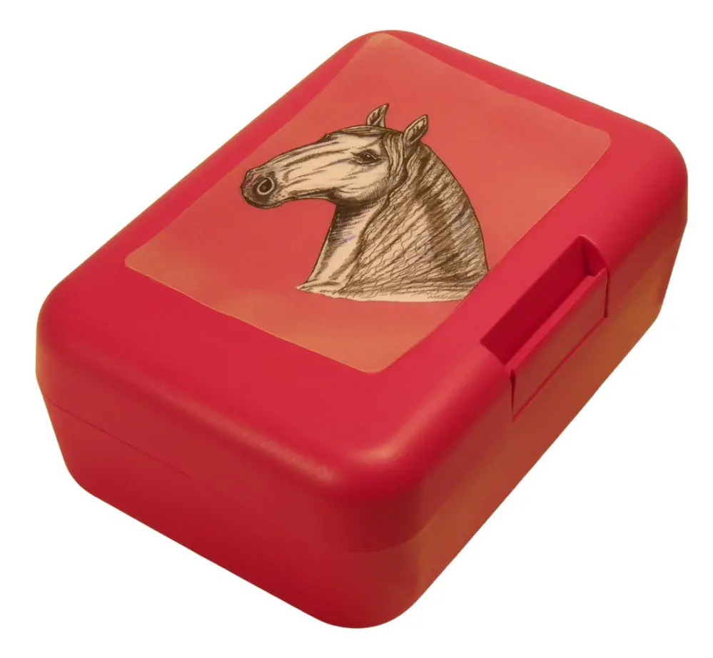 Plastový box - Starokladrubský kůň 