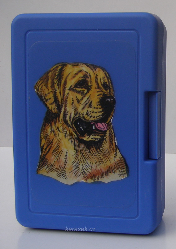 Zlatý retriever - plastový box