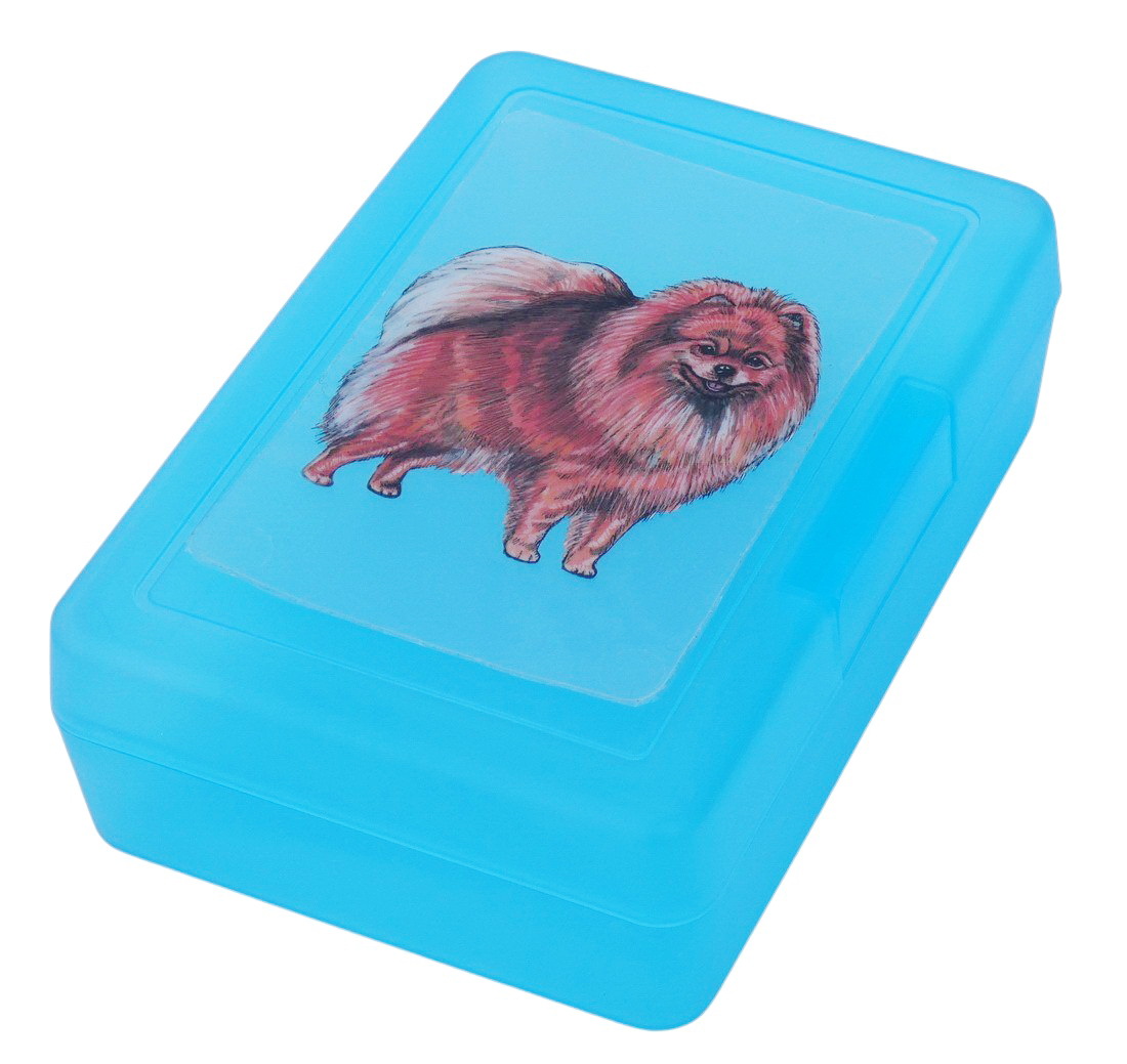Špic oranžový - plastový box