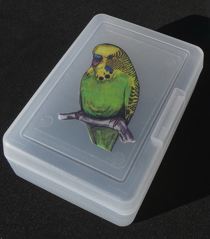 Plastový box - andulka zelená