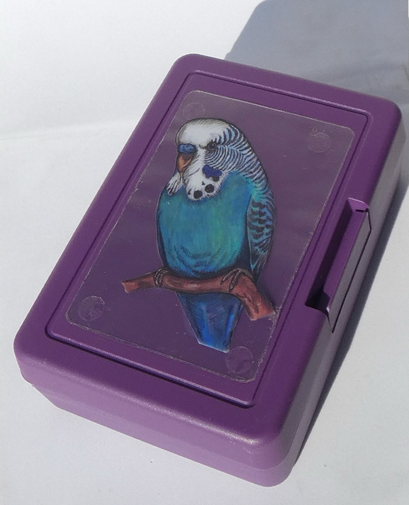 Plastový box - andulka modrá