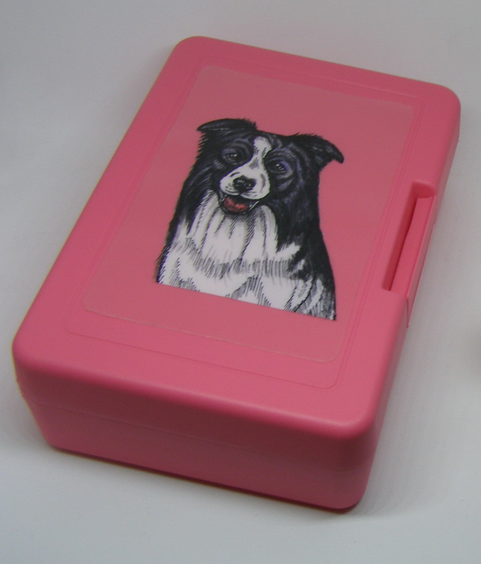 Border kolie - plastový box