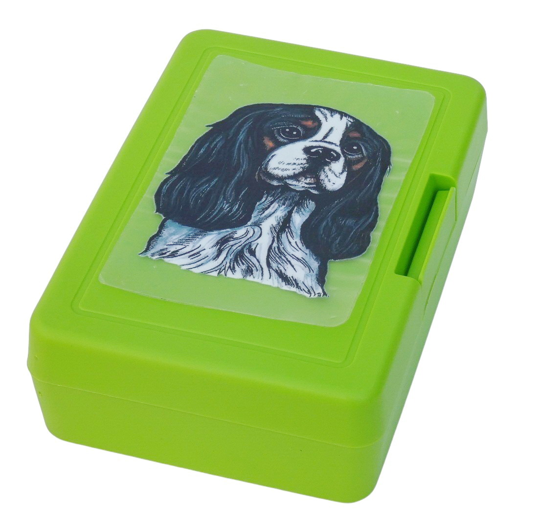 Kavalír tricolor - plastový box