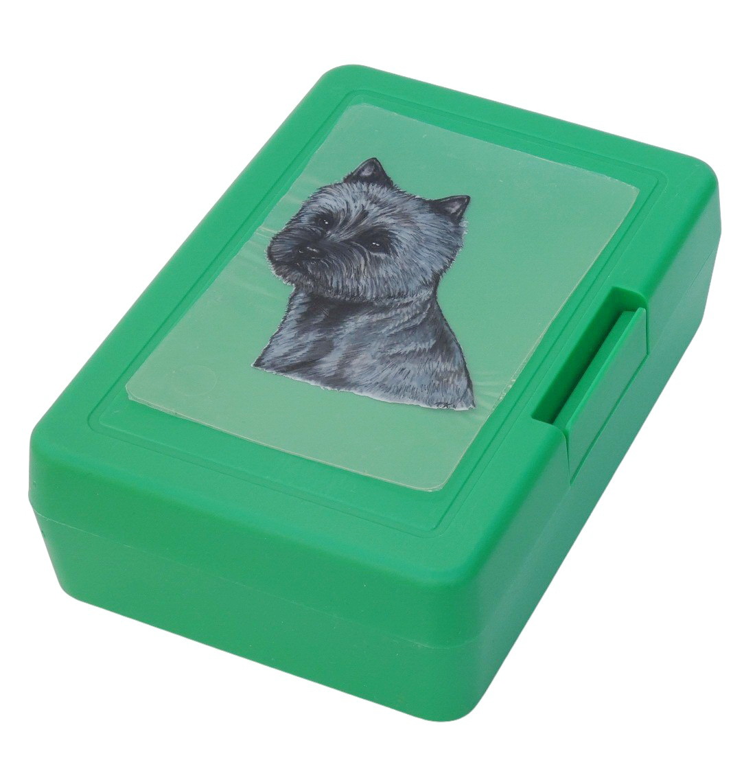 Kernteriér žíhaný - plastový box