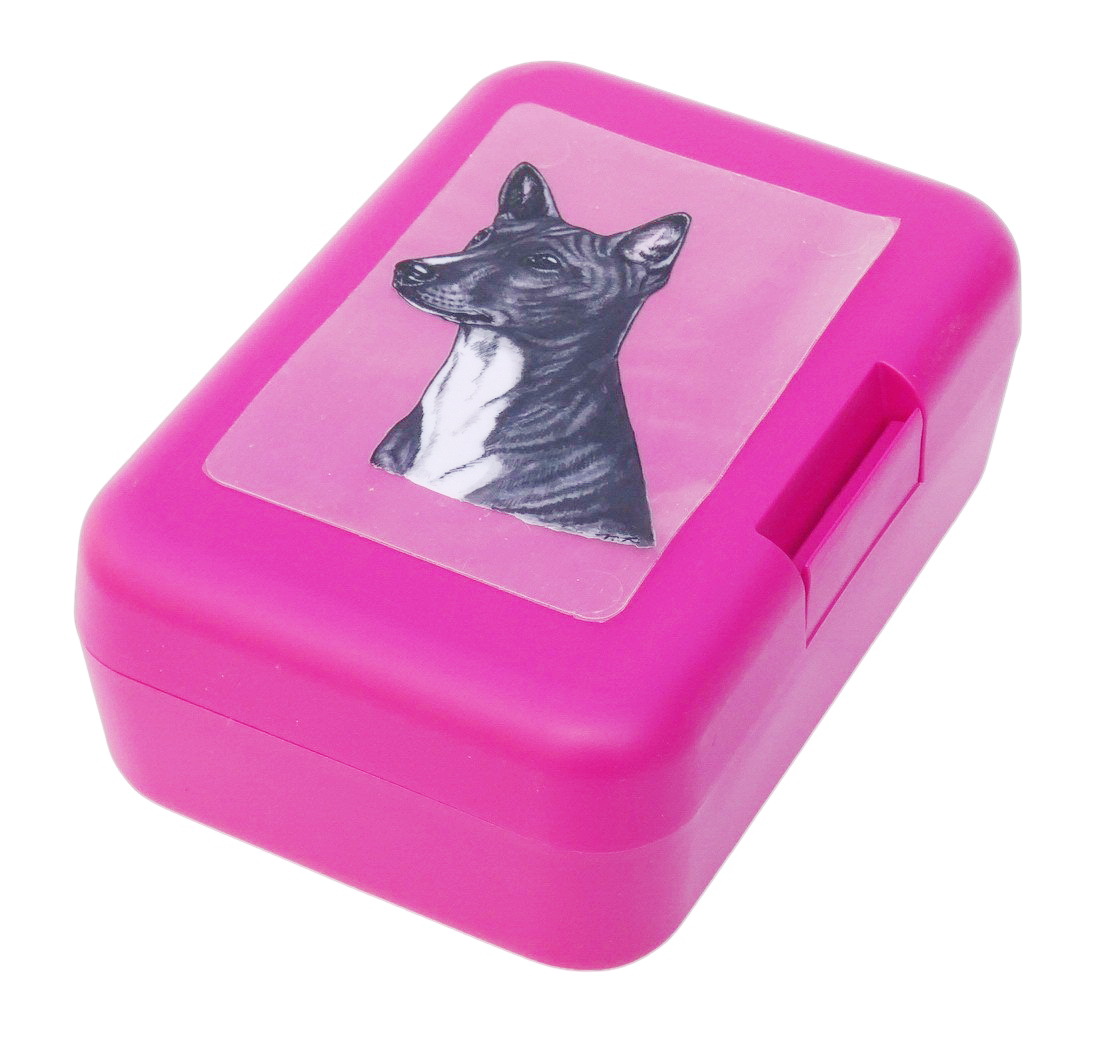 Basenji černý - plastový box