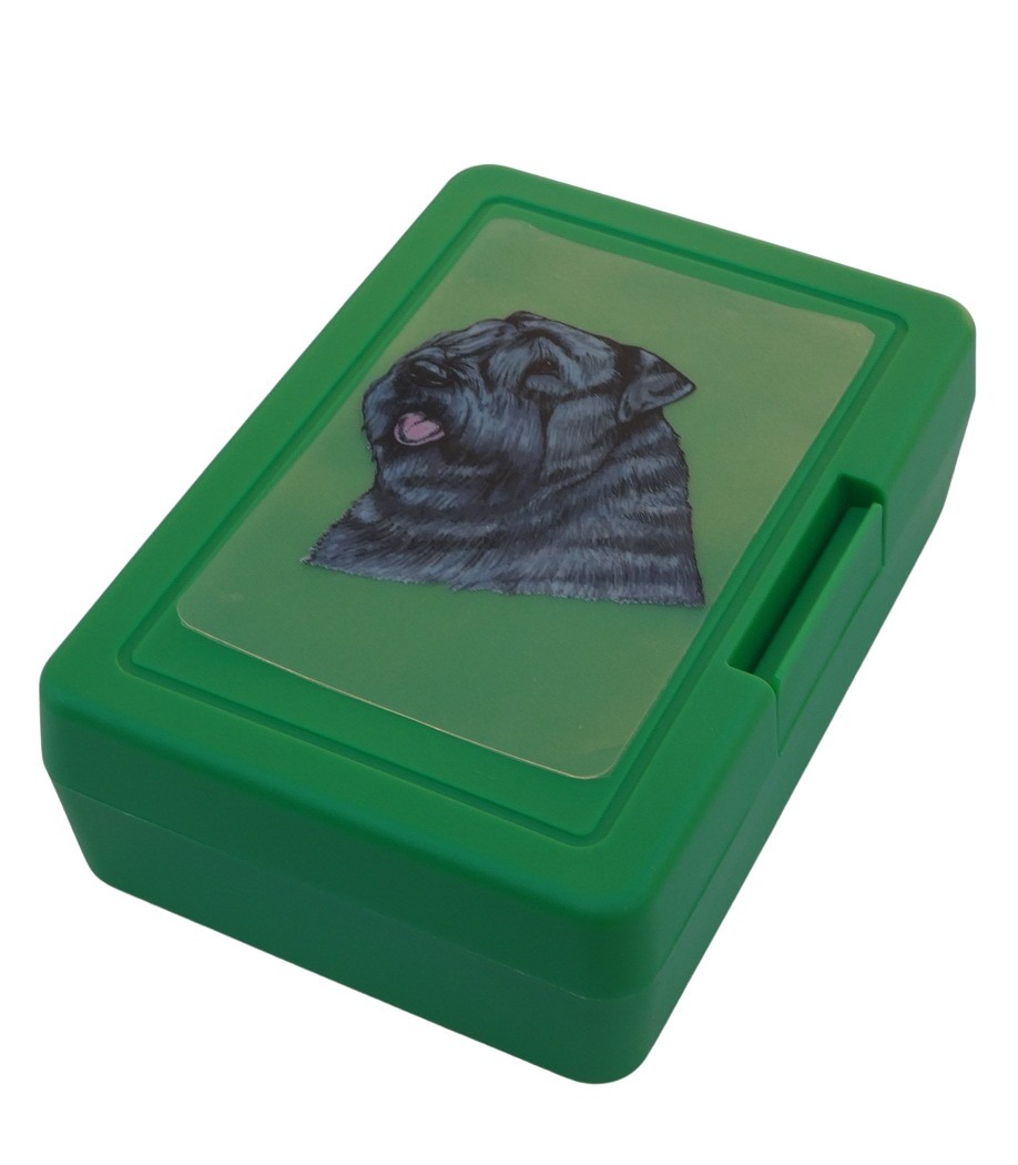 Flanderský bouvier - plastový box