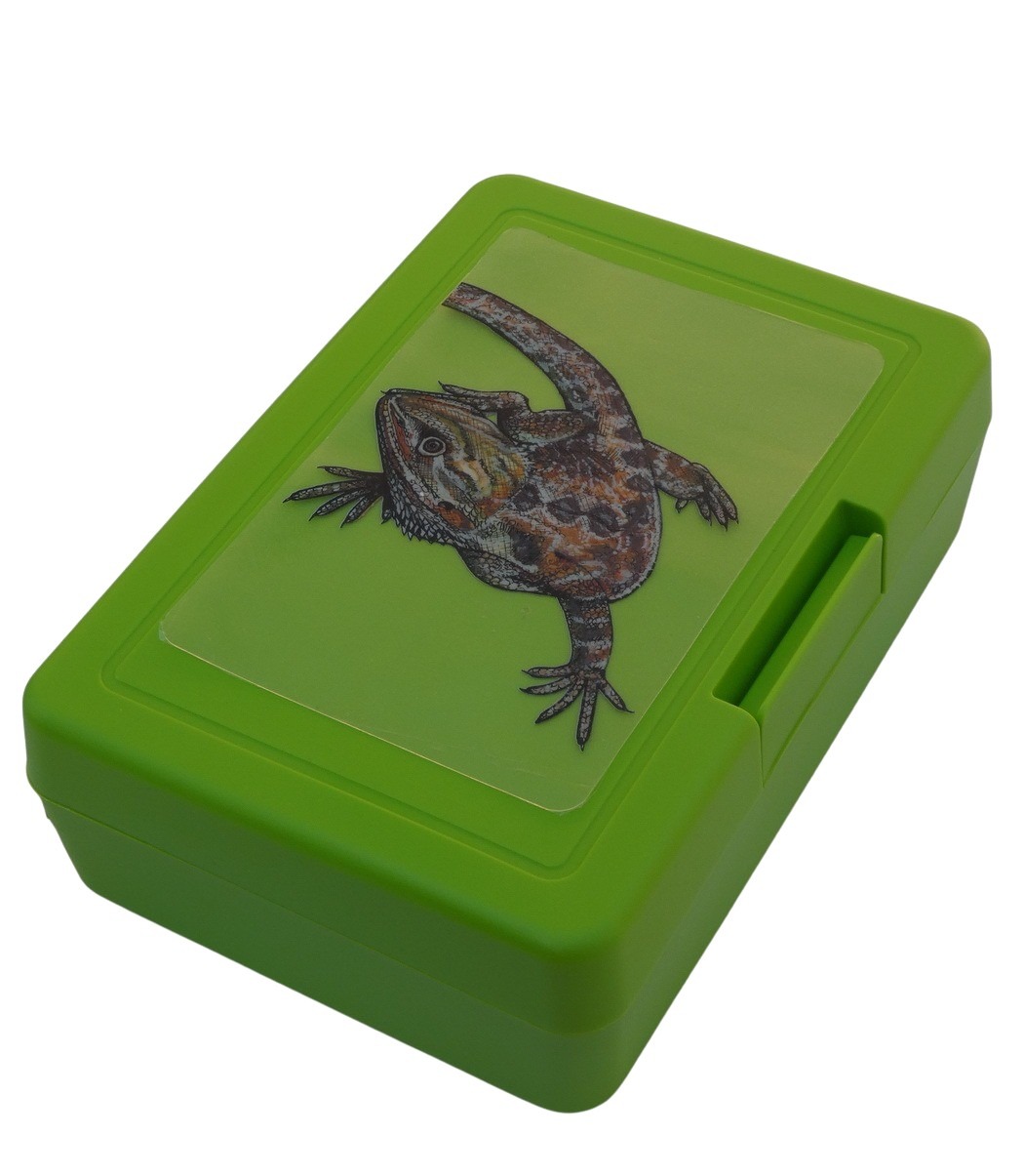 Plastový box - agama