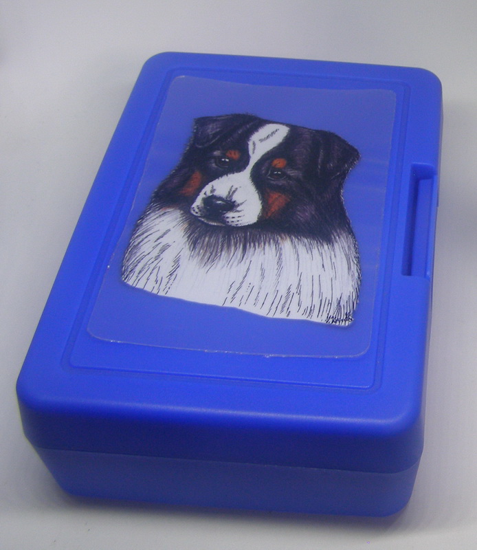 Australský ovčák - plastový box