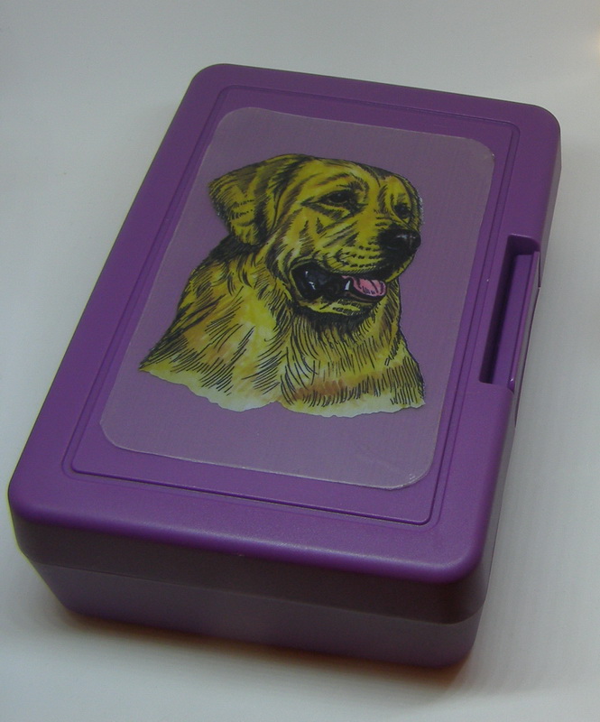 Zlatý retriever - plastový box