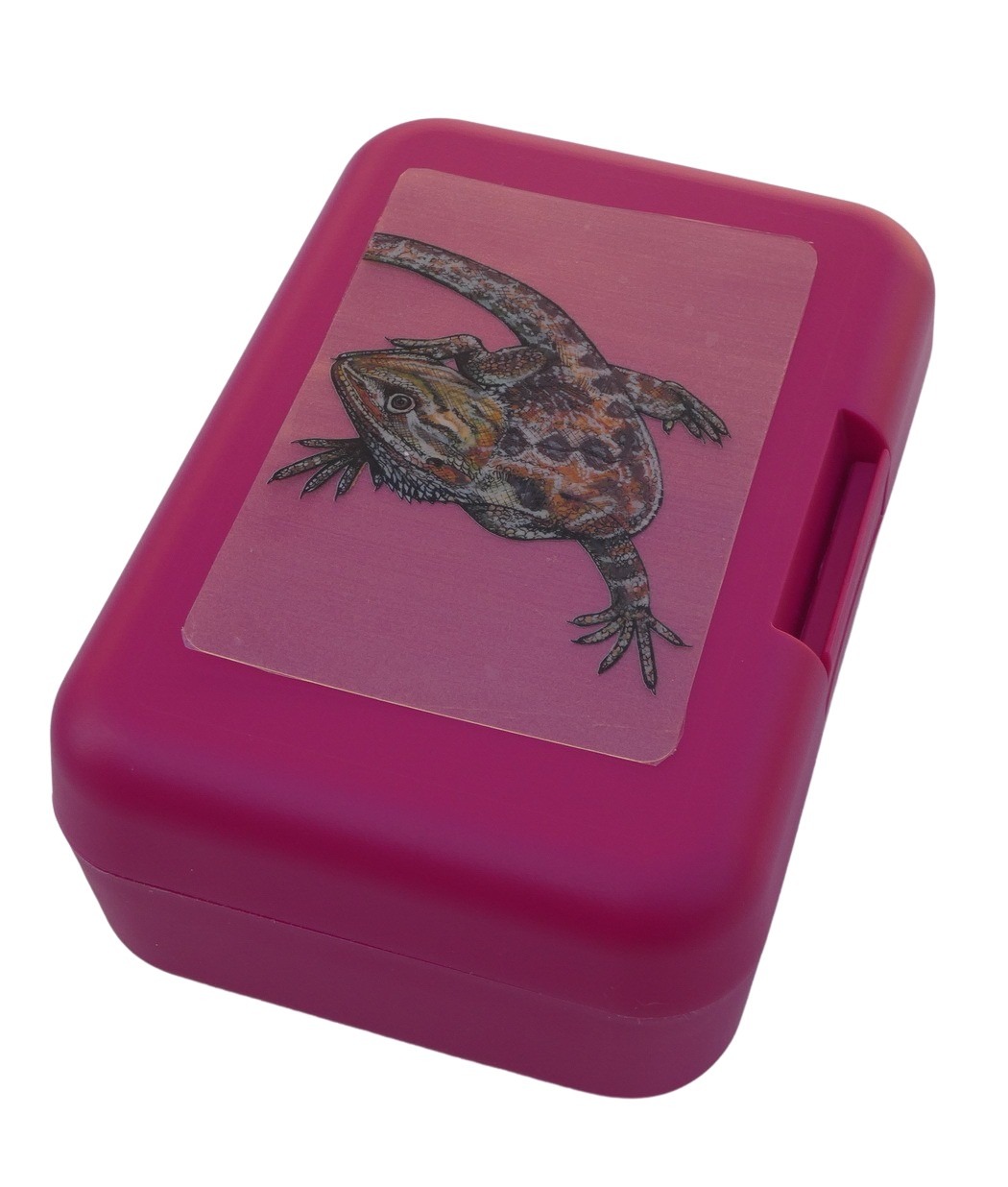 Plastový box - agama