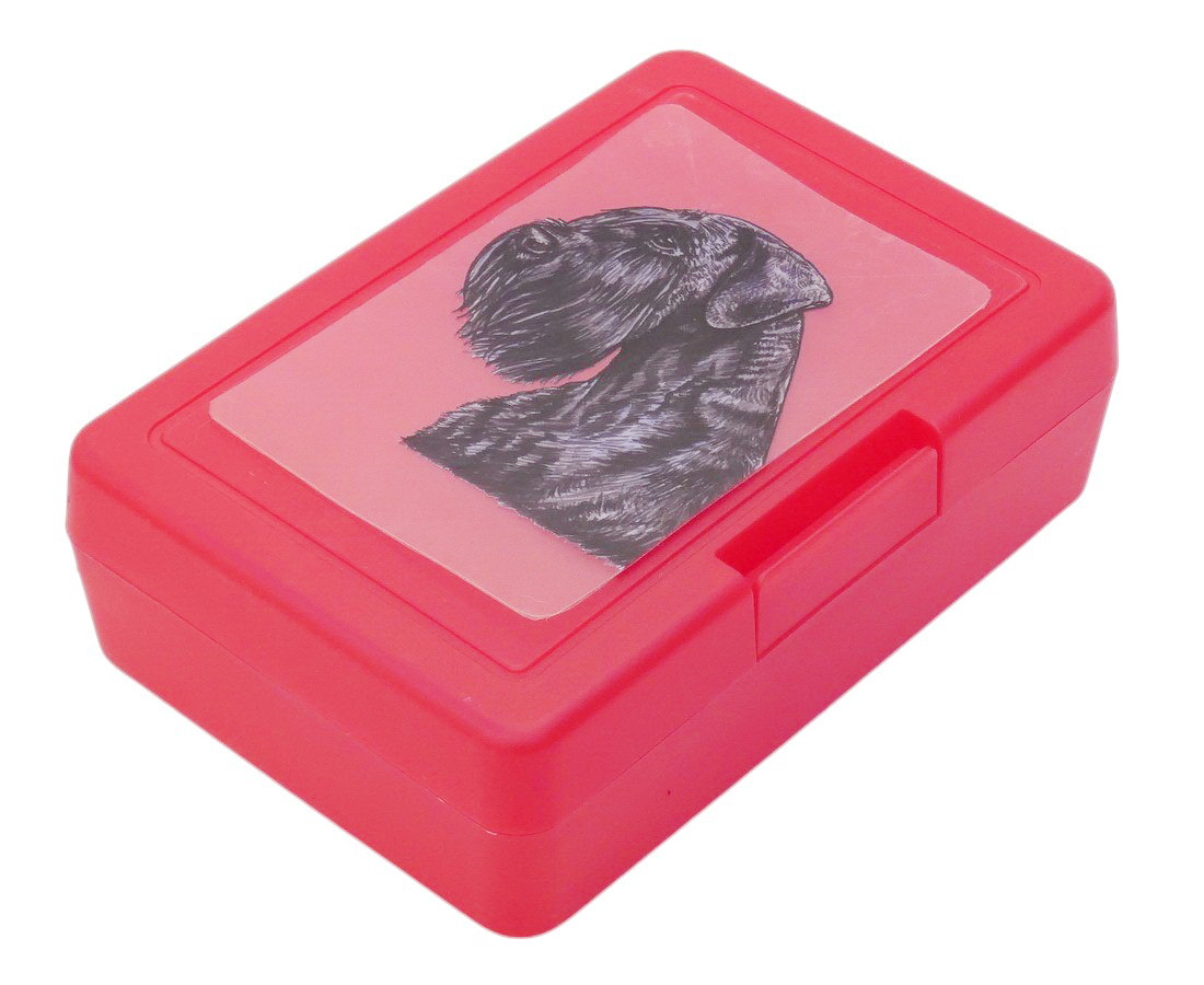 Knírač velký - plastový box