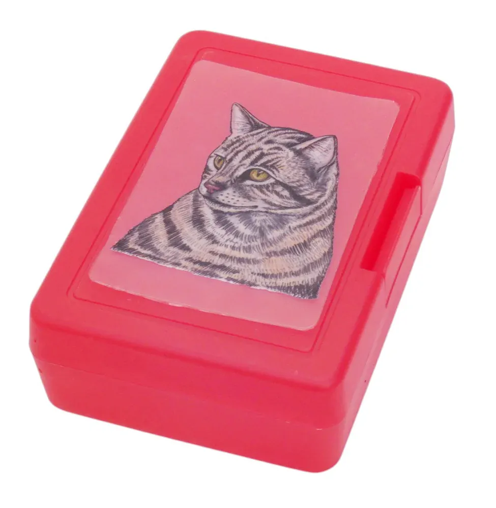 Plastový box - mourovatá kočka