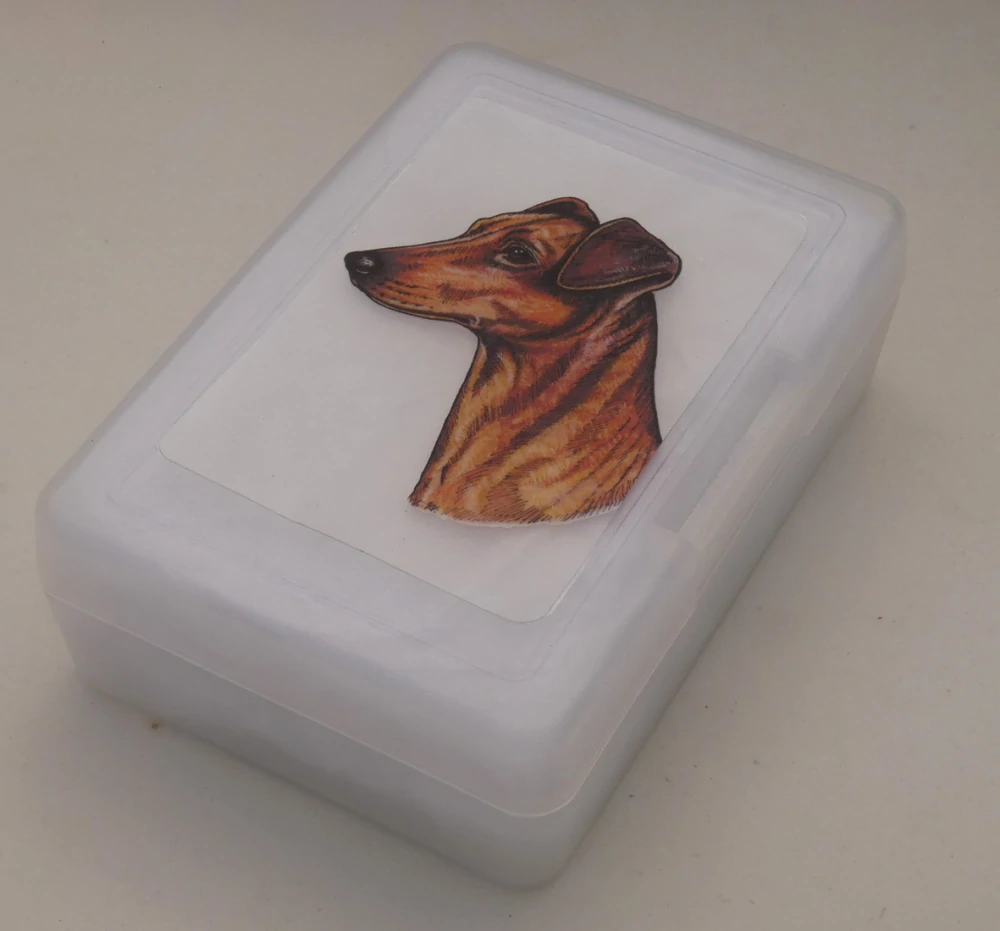 Německý pinč - plastový box