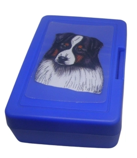 Australský ovčák - plastový box